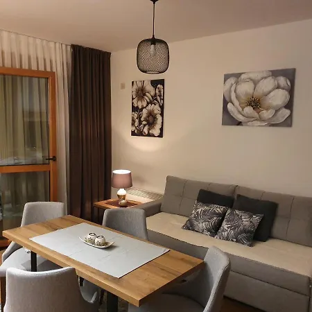 Aura J&p Appartamento Zlatibor