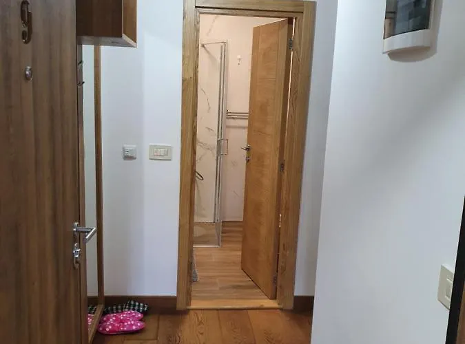 Aura J&p * 즐라티보