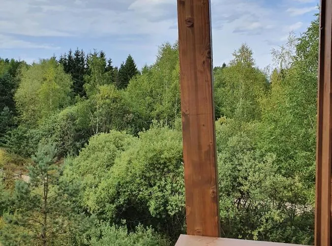 Aura J&p * 즐라티보